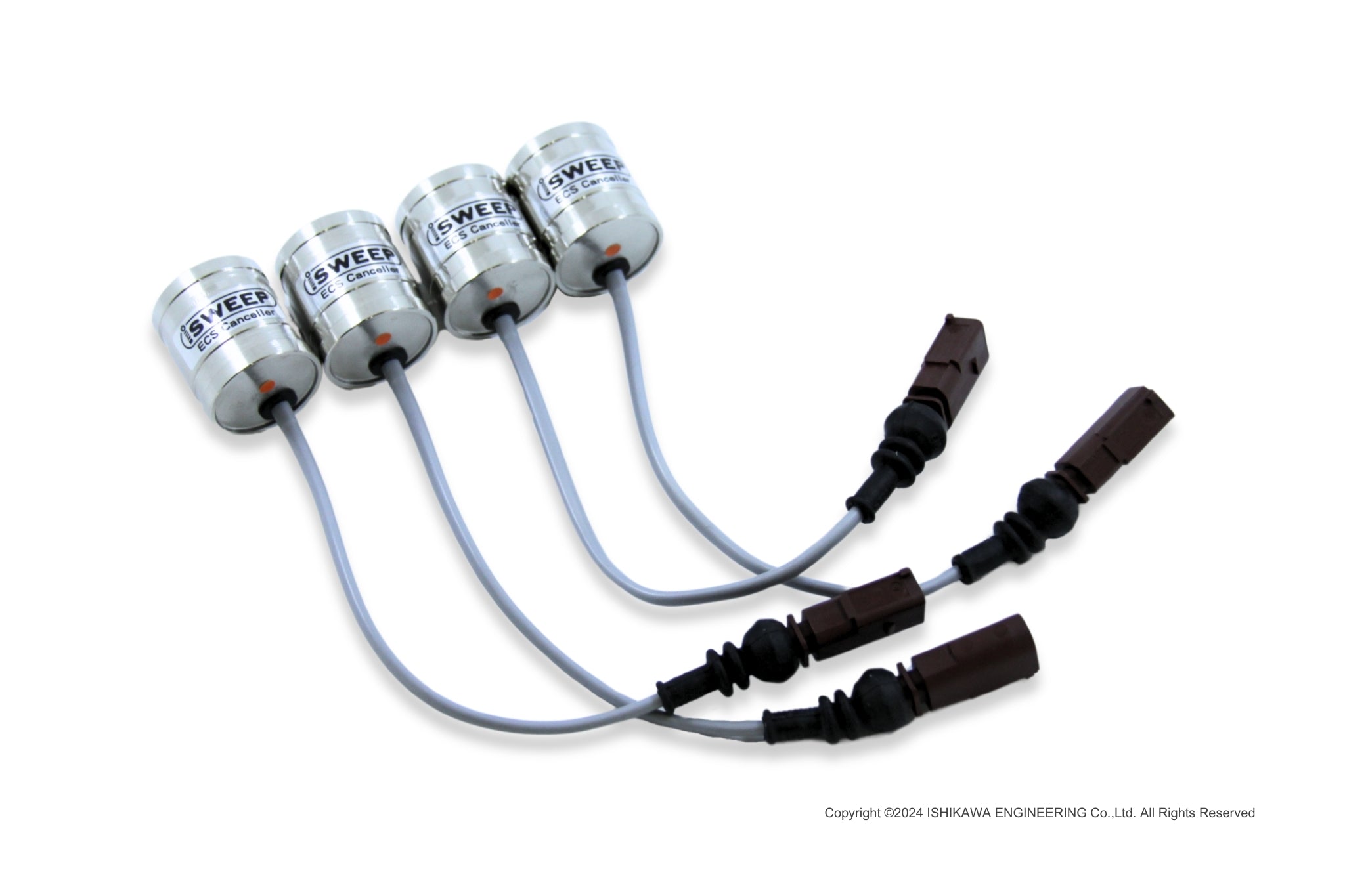 Tillandsia Ice Sordet 速達発送 Tillandsia Ice Sordet 速達発送