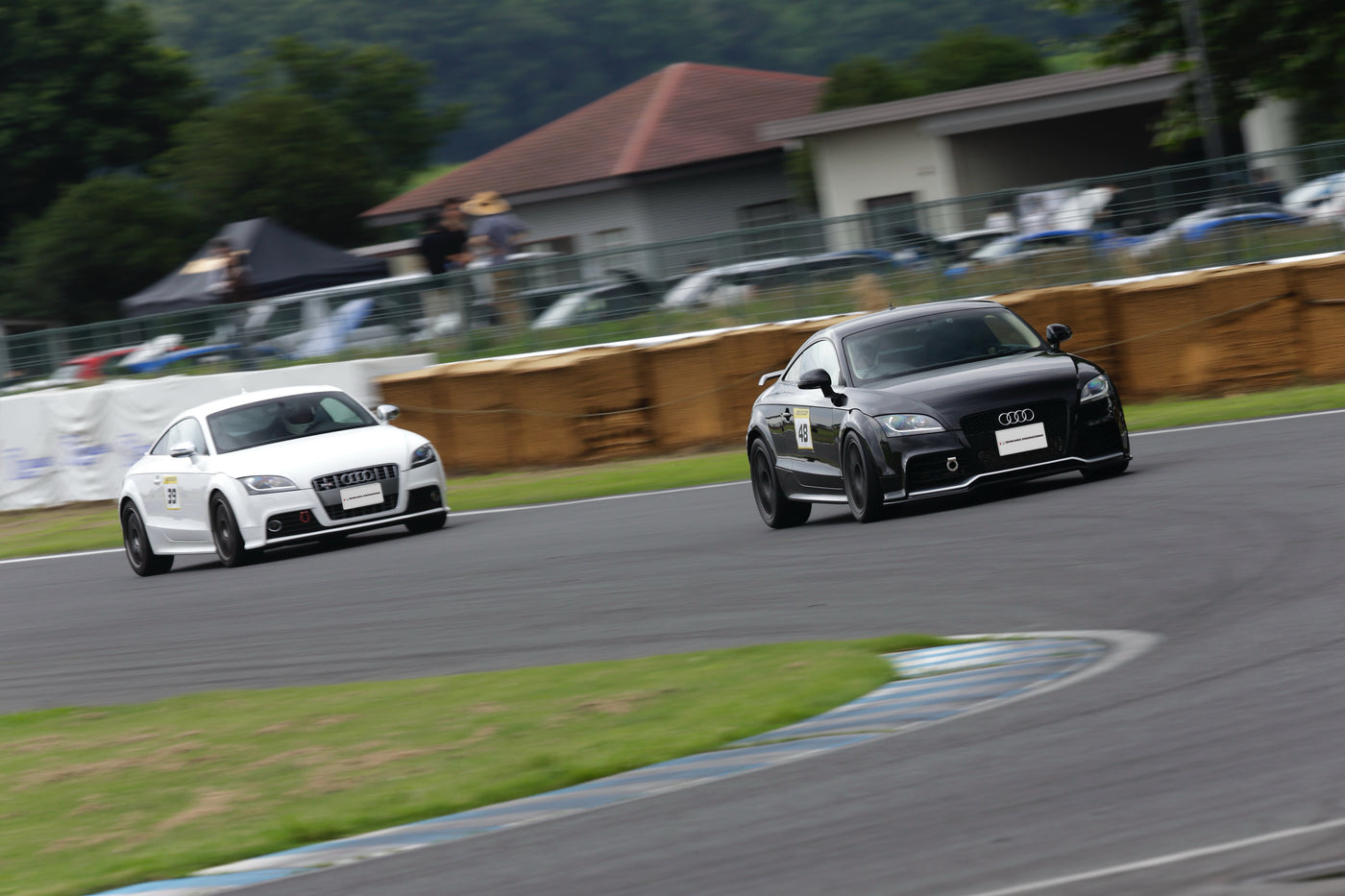 いっしょに走ろっ！